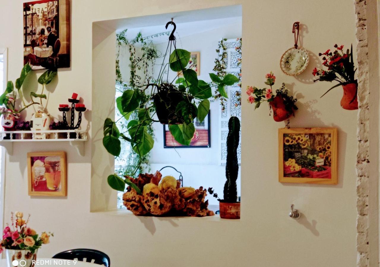 Hotel Boutique Los Remansos Palmira  Eksteriør billede